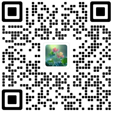 中国基础科学杂志模板